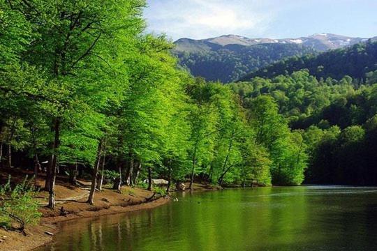Petit Dilijan B&B 외부 사진